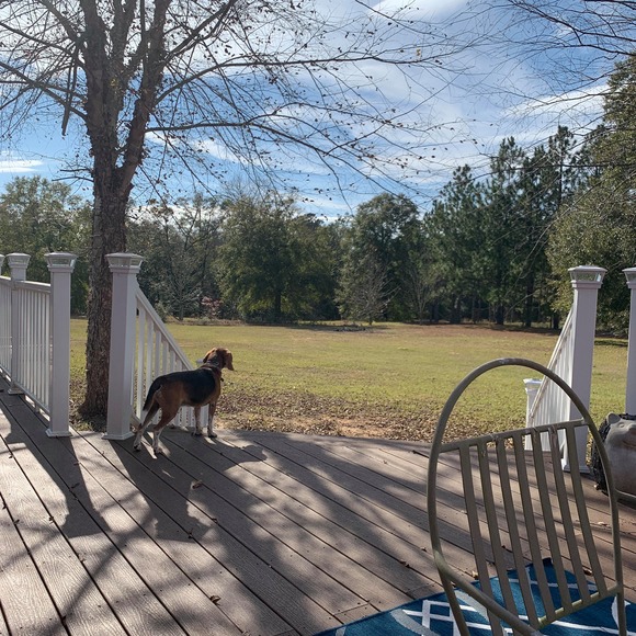 Meet your Posher, Susan - Picture 1 of 1